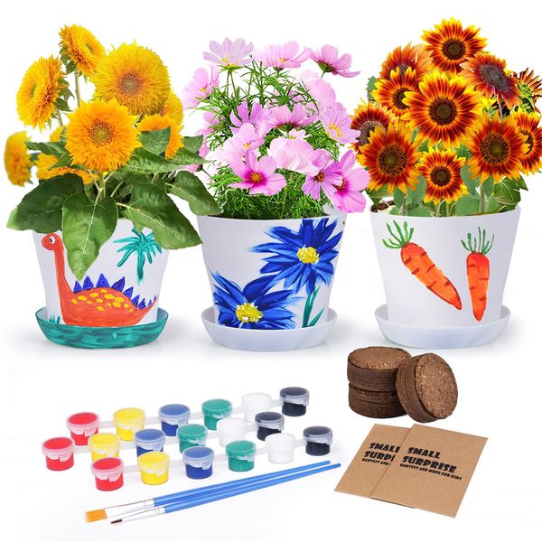 JC-JDFMY11 Paint & Plant Flower Planting Growing Kit - Kids Gardening Birthday Drawing Toys -Crafts for Girls & Boys - STEM Art & Handicraft Project Activities,Arts and Crafts for Kids 6,8-12