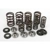 Kibblewhite Valve Spring Kit .440" Lift - 40-40148