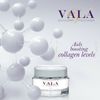Revitalizing Moisturizer by Vala - Hydrate Face Morning/Night - Even Complexion