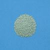 [2 drugs] Inocea Green 34 capsules