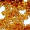 0.5 Cubic Ft Fine Mesh Water Softener Resin