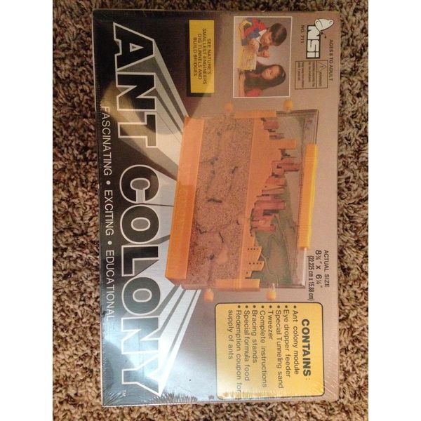 Ant Colony Outback Wildlife