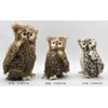 Owl No. 4465