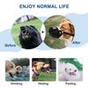 RENEWREVITAL Dog Muzzle, Soft No Barking Bite Mesh Muzzle, Breathable Muzzle Allows Panting Drinking, Anti Chewing Dog Muzzle for Small Sized Dogs, S, Black