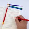 LCPQMZGH 48 Pcs Erasable Checking Pencils, Pre-Sharpened, for Marking, Coloring, Tests, Grading, Office, School (Red)