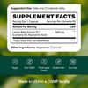 Fresh Nutrition Lemon Balm Extract Capsules.
