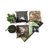 DIY Small Open Terrarium Starter Kit • With 2 Succulents