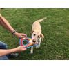 FUZZU Grab Nabbers Dog Toy with Squeaker (Earl The Squirrel)