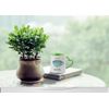You Got Dis!11oz Heart Handle Cup, Coffee, Tea Mug. (Green)