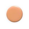 Liquid Foundation with Flawless Stay