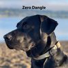 TagVault™ AirTag Dog Collar Mount (2 Pack) - IP68 Waterproof, Non-Dangling, Fits Full Width Collars | Elevation Lab