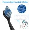 Replacement Toothbrush Heads for AquaSonic Black Series, 8 Count
