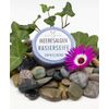 Haslinger Shaving Soap, 60 g, Seaweed