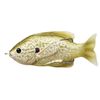 Hollow Body Sunfish - Pearl/O Pumpkinseed