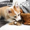 ALL FOR PAWS Classic Brown Rabbit Pet Toys, Small