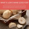Lion's Mane, Ashwagandha and Cordyceps - Focus and Memory, Nerve Support