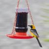 253 Oriole Jelly Wild Bird Feeder Red
