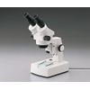 As One Microscope Replacement Lamp 6V 15W /2-5048-12