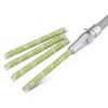 Practicon 7108312 Vented Green ECOtip HVE Tips (Pack of 100)