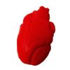 Stress Relief Squeezable Foam Brain & Heart