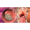 HERBAL (Dewormer) for people - (kill & flush worms & eggs) (Antiparasitic