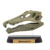 Dinosaur Spinosaurus Skull Mini Model (FDW-503)