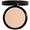 Dual-Activ Powder Foundation Tender Beige
