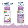 Solaray Garlic Supplement 500mg, Vegan, Odorless Garlic Extract, Traditionally Used for Heart Health and Immune Support, Vegan, Odor Free, Lab Verified, 60 Day Guarantee, 60 Serv, 60 Enteric VegCaps