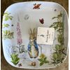 Beatrix Potter Peter Rabbit Melamine Dinner Plate Easter/Spring Set of 4 NWT