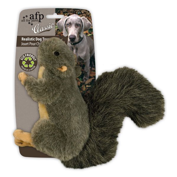 ALL FOR PAWS Pet Squirrel Plush Dog Toys With Squeaker, Small Size (Squirrel)