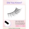 Half Lashes Natural Look 3/4 Lashes Wispy Corner Lashes End Half Eyelashes Half-04