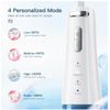 Cordless Water Flossers Picks for Teeth, IPX7 Waterproof Portable