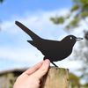 Blackbird Fence Topper- Black