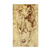 CafePress Leonardo Da Vinci Horse Rider Sticker (Rectangular Rectangle Bumper Sticker Car Decal