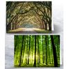 12 x Landscape Folding Greeting Cards with Envelopes. Blank inside for all occasions
