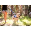EZYDOG Zero Shock Dog Leash 25.2 inches (64 cm) Gray