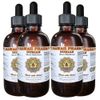 Durian (Durio Zibethinus) Liquid Extract 4x4 oz