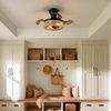 28'' Retractable Ceiling Fan with Lights, Flush Mount Small Caged Low Profile Ce