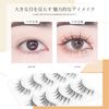 Lashidol False Eyelashes, Natural, Transparent Base, Handmade, Reusable, DIY at Home, For Daily Makeup, 5 Pairs, (Precious Idol)