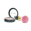 SHANY Paraben Free Powder Blush - ANGELIC
