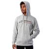 Alpinestars Linear Race Hoody (LARGE) (GREY HEATHER)