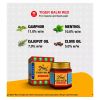 Tiger Balm Red Ointment 19g