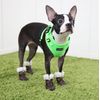 Puppia Neon Soft Harness II, Medium, Green