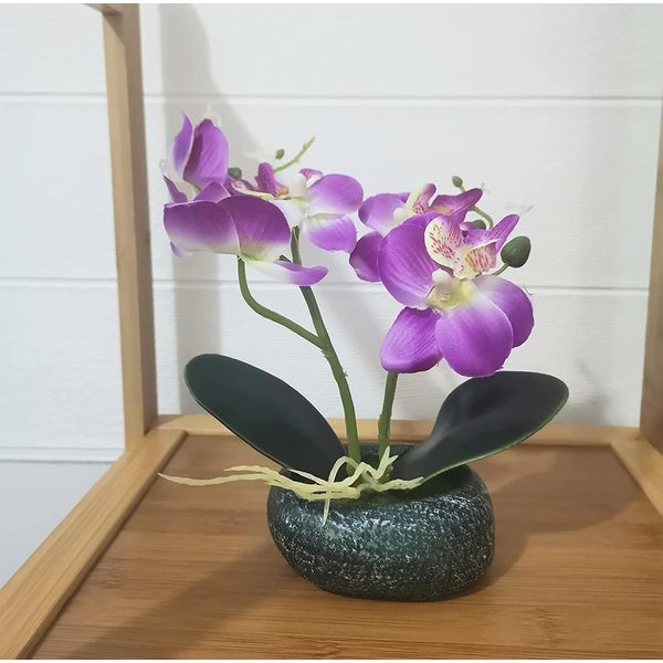 Artificial House Plant, Phalaenopsis Orchid, Artificial Flower, Photocatalytic Treatment, Tabletop, Boat Shaped Pot, Stone Pot Decor, Faux Silk Flowers, Phalaenopsis Orchid, Housewarming, Opening