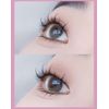 Honey box fake eyelash book! Pure Wilderness+Wheat Ear+Clouds+Trilogy