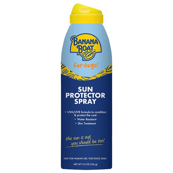 Banana Boat Dog Sunscreen Spray – SPF 50 Sun Protector Spray for Dogs, Easy to Use Dog Beach Essentials, Water Resistant Dog Safe Sunscreen for All Breeds, Nose Protector Sunblock for Dogs Puppy 5.5oz