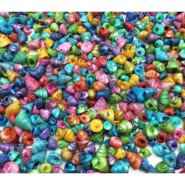 PEPPERLONELY Dyed Assorted Colors Trochus Tiny Sea Shells, 4 OZ Apprx.1300+ PC Shells, 1/4 Inch