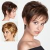 Aspen Wigs : Roxanne (#CA-162) (Cola N Cream)