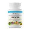 Eclectic Dandelion Root Cog FDV, Blue, 50 Count