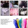 10 Pcs Multicolor Ostrich Feathers for DIY Crafts 25cm-30cm Long